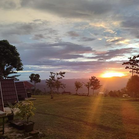 Bugo Camp Glamping & Natural Activity Munduk Esterno foto
